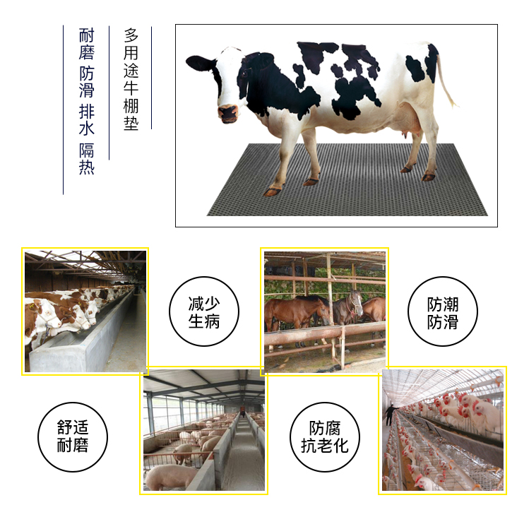 1588739289106486.jpg 產(chǎn)品參數(shù)_06.jpg