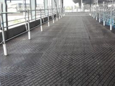 鋪設(shè)現(xiàn)場GW-XM